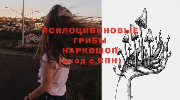гидра Алзамай