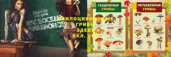 гидра Алзамай