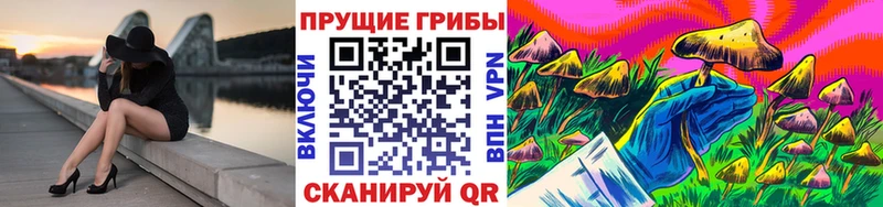 Псилоцибиновые грибы мицелий где найти наркотики Ардатов
