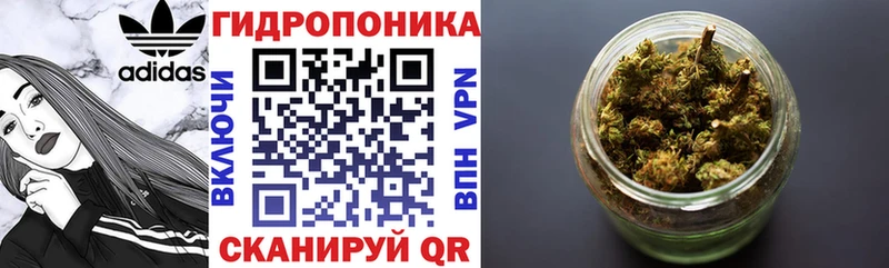 Конопля Amnesia Ардатов